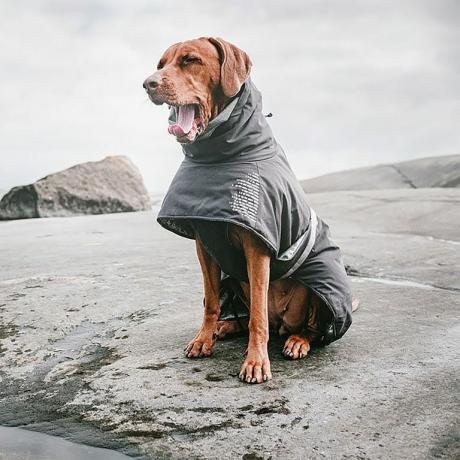 Fotografie haină pentru câine Hurtta Extreme Warmer