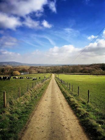 Perspectiva pistei de pietriș de primăvară prin terenuri agricole