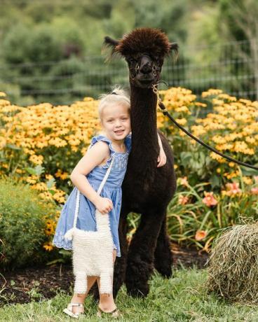 alpaca buck pârâul