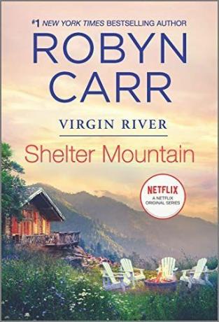 Shelter Mountain: Cartea 2 din seria Virgin River (Un roman Virgin River)