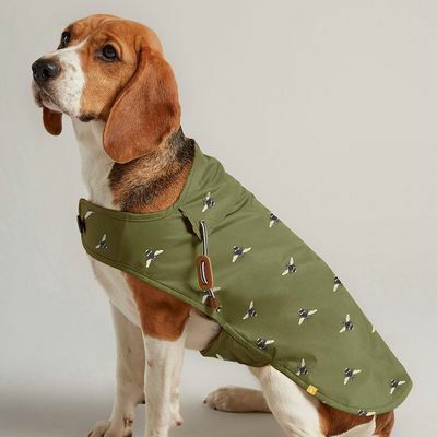 Palton pentru câini ceară verde olive